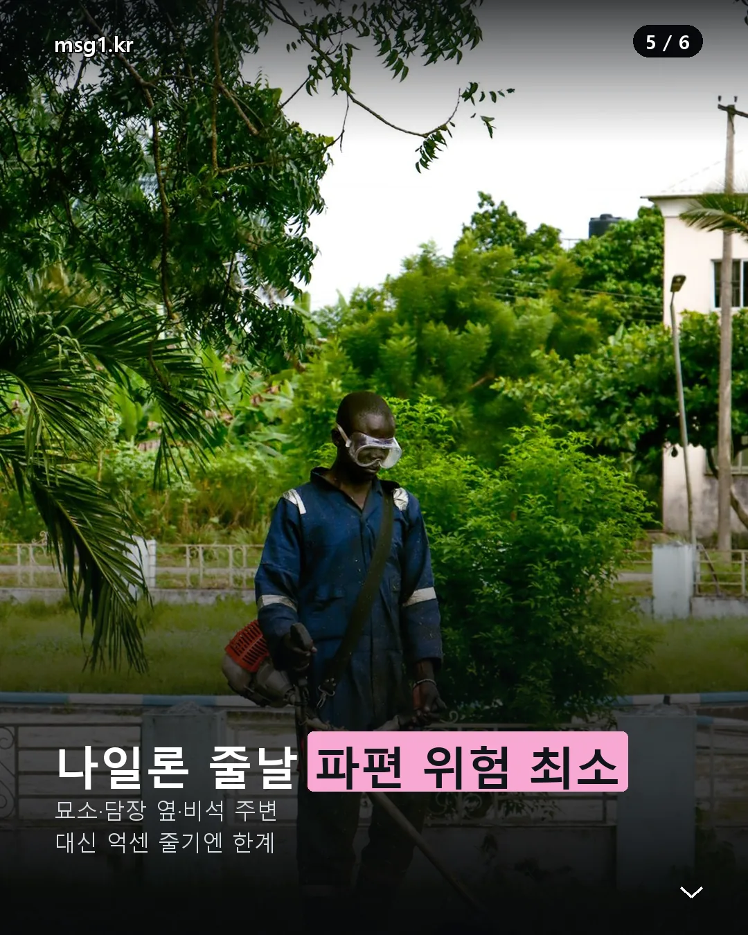 나일론 줄날 안전 특징