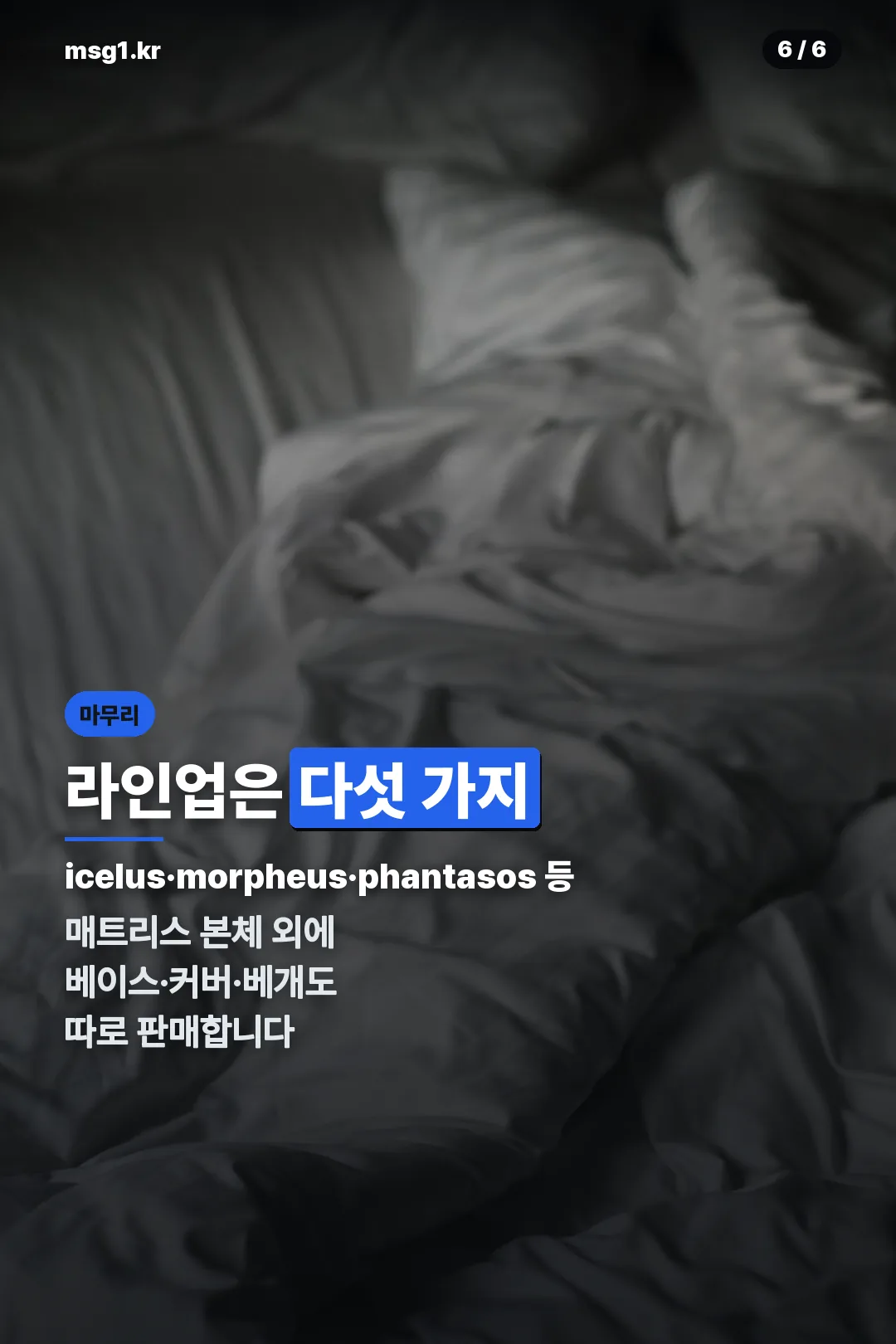 제품 라인업