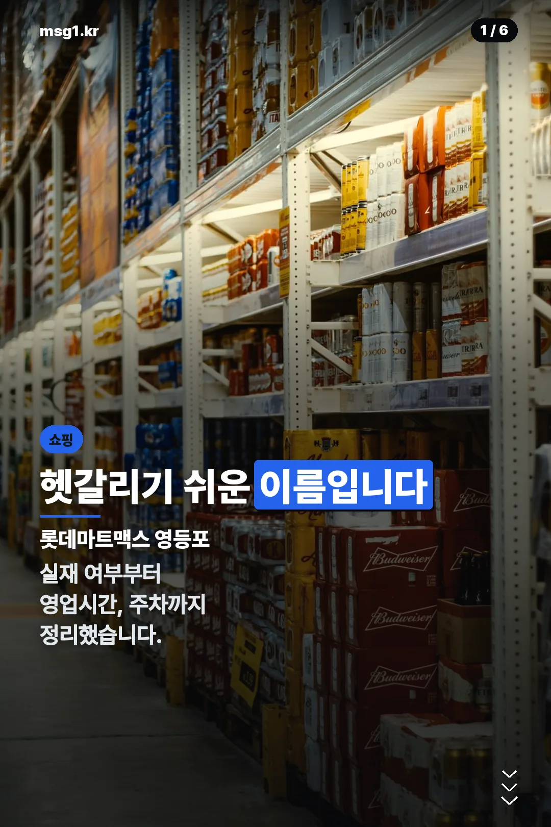 롯데마트맥스 영등포 표지