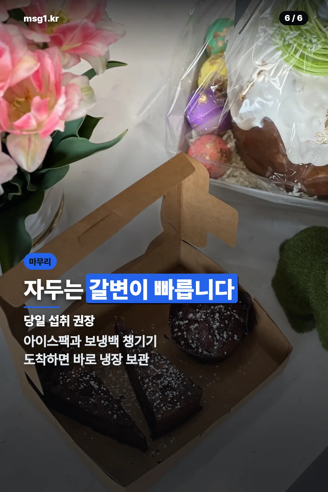보관 요령
