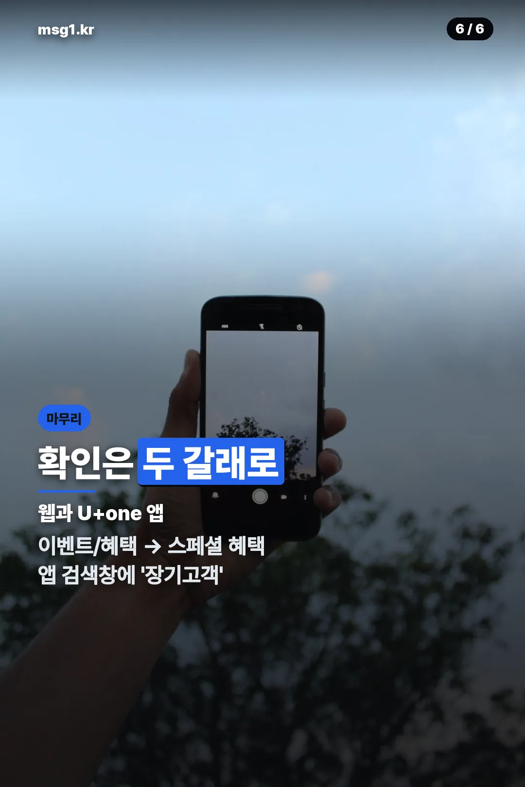 확인 경로
