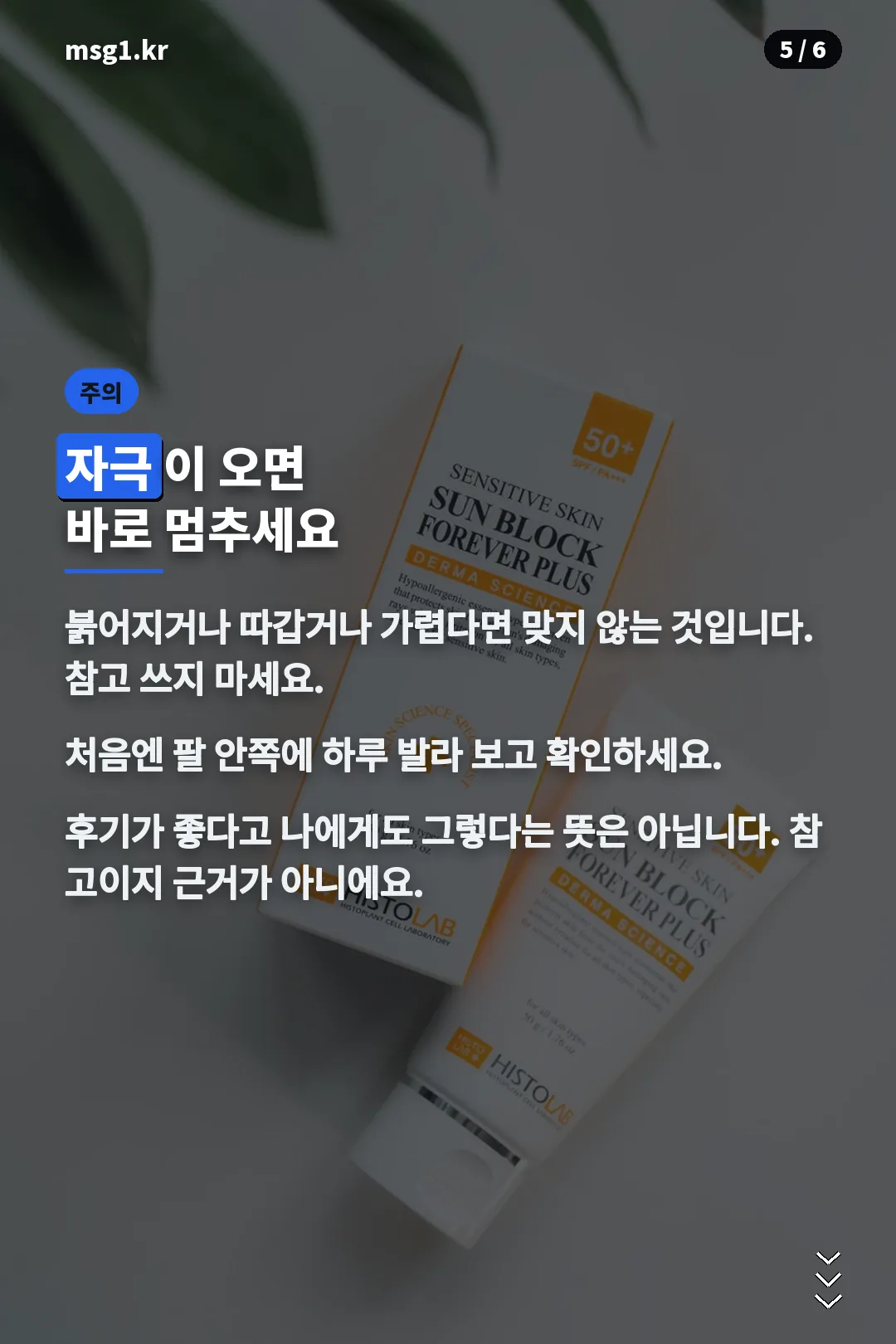 자극 주의