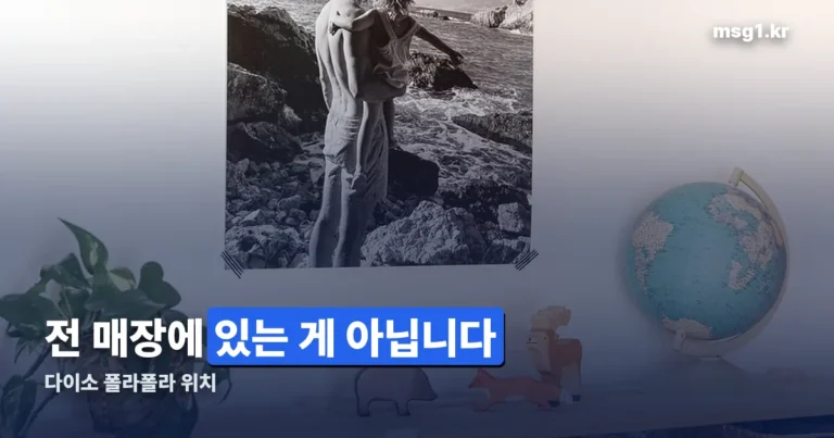 다이소 폴라폴라 위치 — 전 매장이 아니라 일부 지점에만 있습니다