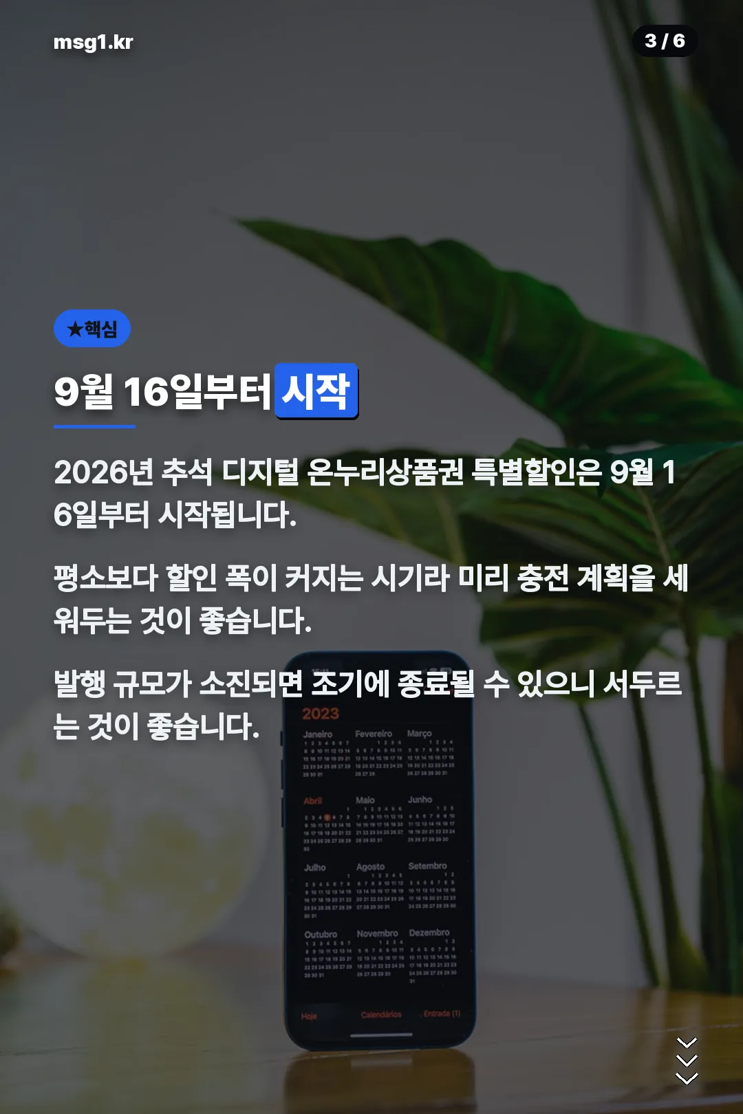 9월 16일부터 시작