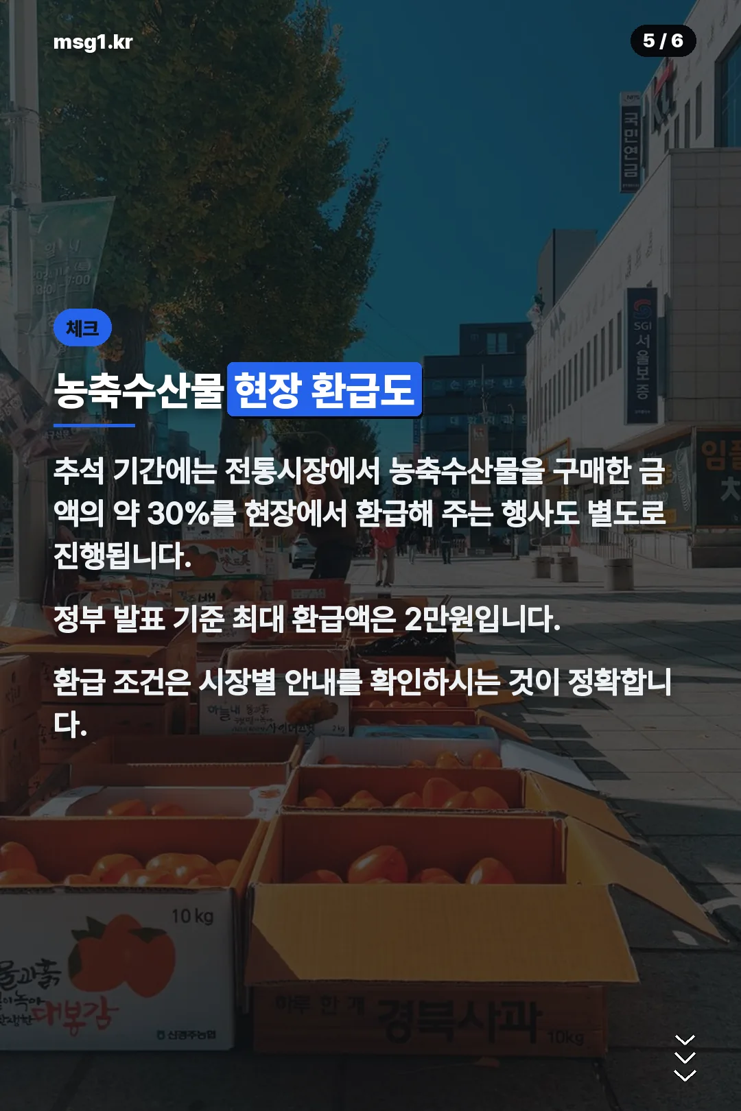 농축수산물 현장 환급도