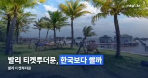 발리 티켓투더문 해먹 — 공식 가격과 국내 구매가 비교