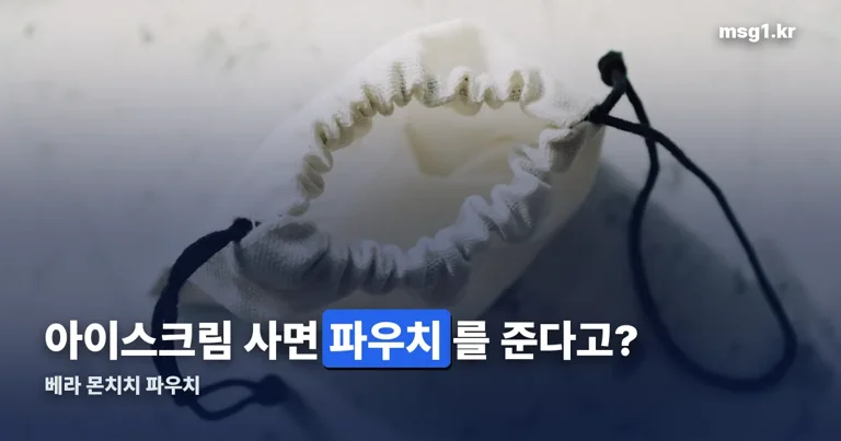 베라 몬치치 파우치 정리 썸네일