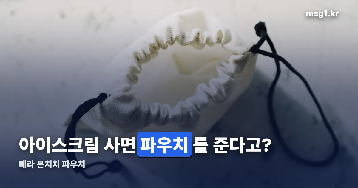 베라 몬치치 파우치 정리 썸네일