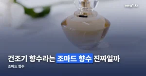 조마드 향수, 건조기 향수라 불리는 이유