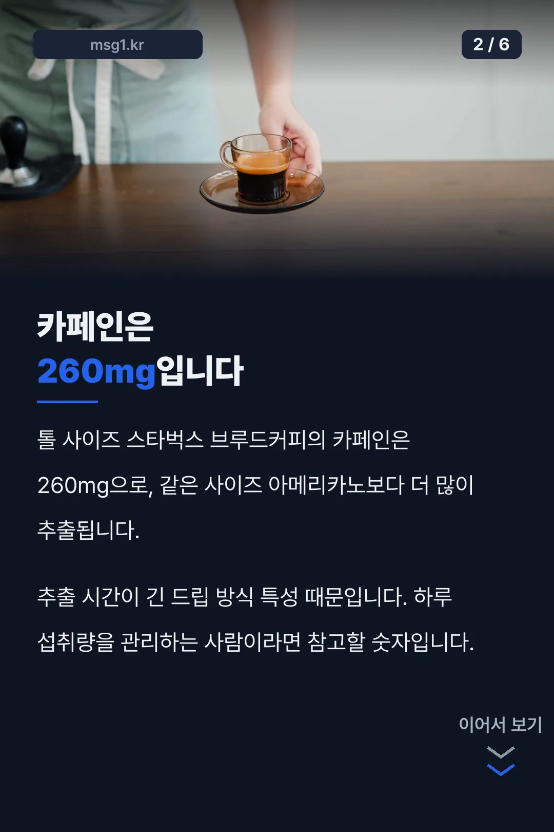 카페인 함량 비교