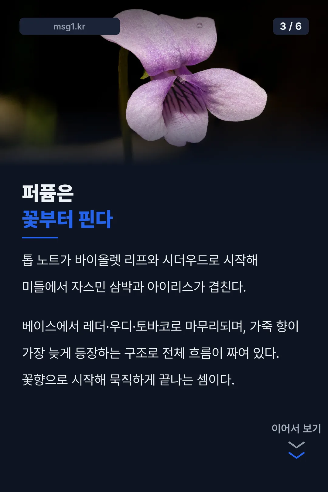 퍼퓸 노트 구성